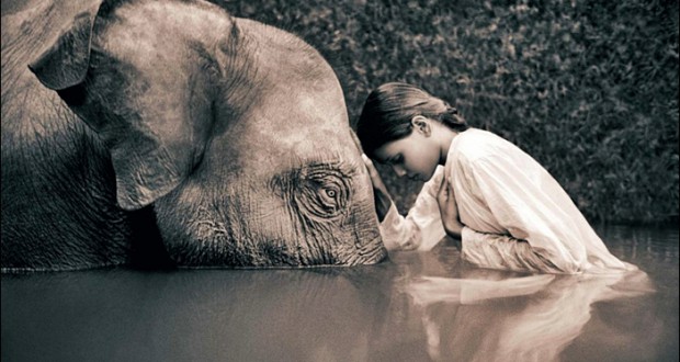 sepia_elephants_children_gregory_colbert_ashes_and_snow_1366x768_61231
